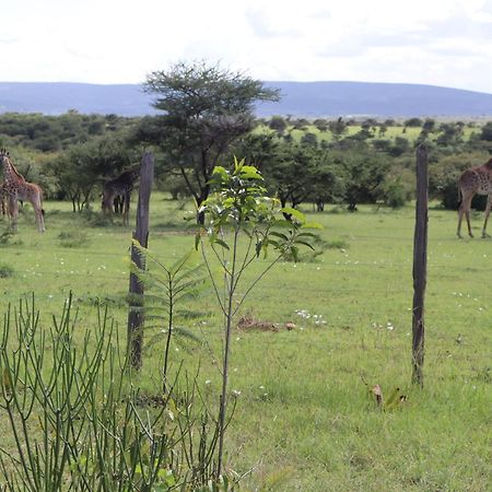 Kambu Mara Camp Hotel Sekenani Exterior photo