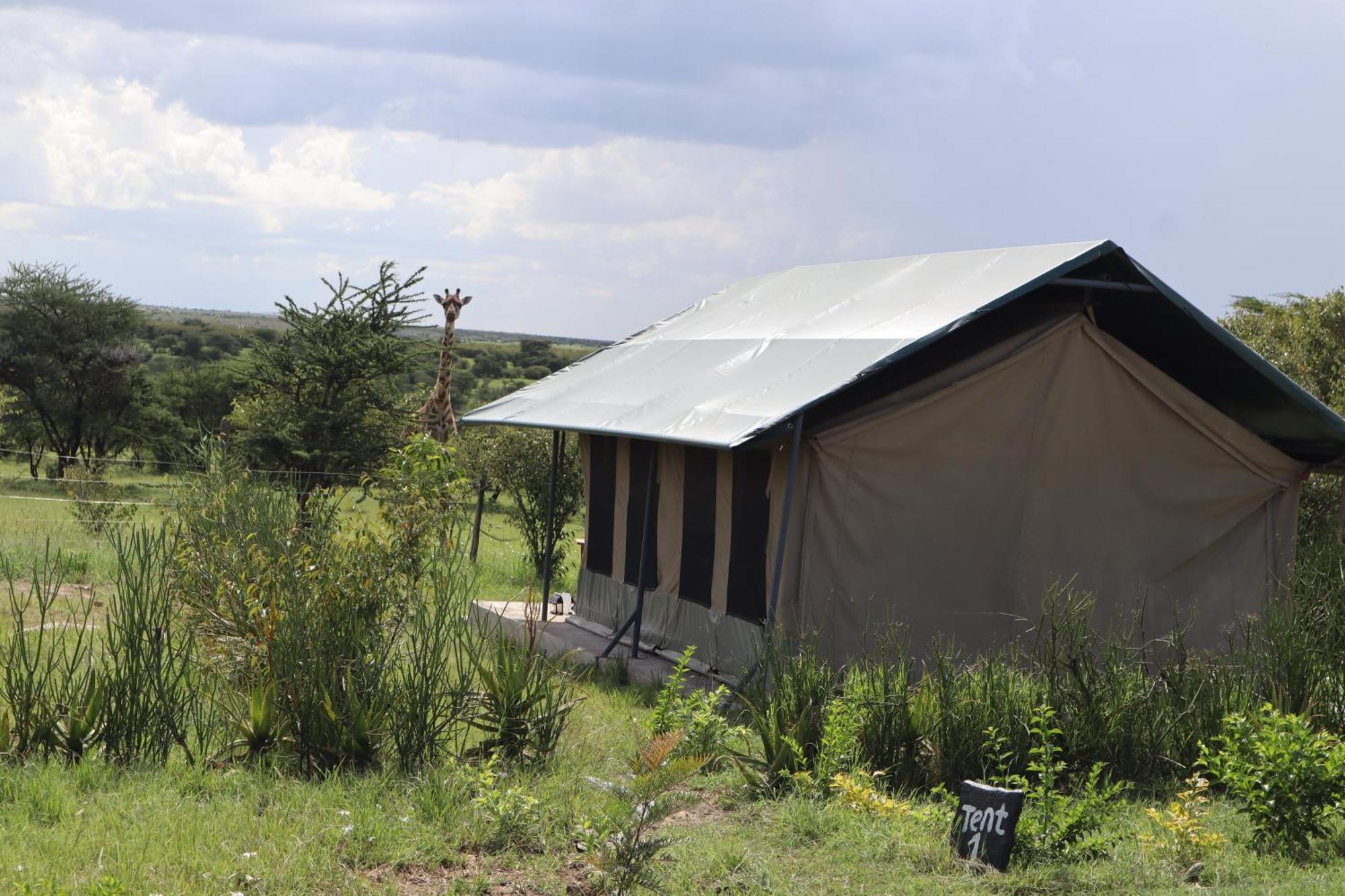 Kambu Mara Camp Hotel Sekenani Exterior photo